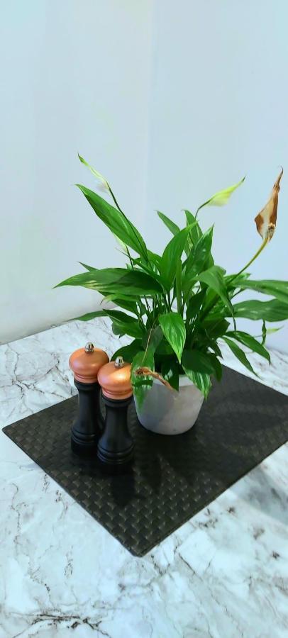 Great Studio Apartments - Netflix, Wifi, Digital Tv Sheffield Ngoại thất bức ảnh